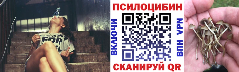 Галлюциногенные грибы мицелий  купить   Тейково 