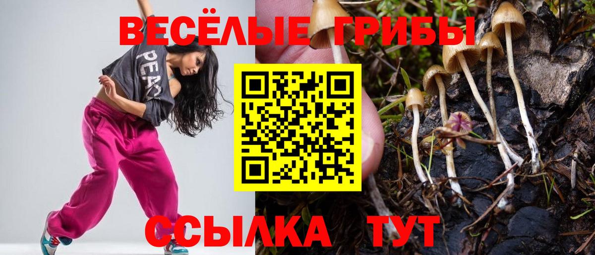 Псилоцибиновые грибы MAGIC MUSHROOMS Тейково